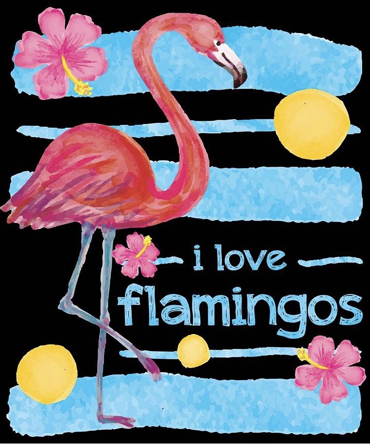 flamingo